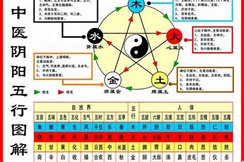 1984年五行属什么|1984年是什么命 1984年是什么命五行属什么